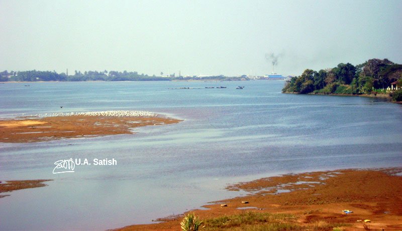 Netravati River; river; Mangalore; uasatish;