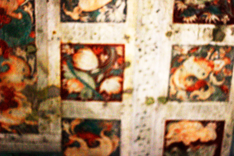 Ajanta Caves; Maharashtra; India; uasatish; ceiling; travel blog; cave paintings;