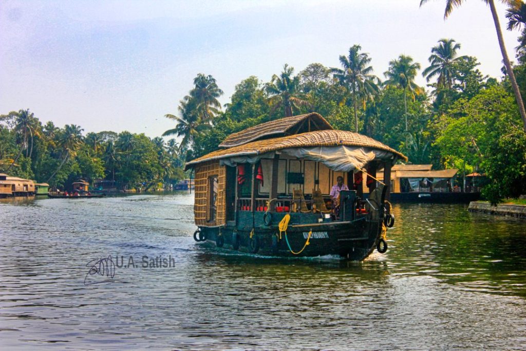 Coasting Houseboat; Alappuzha; Kerala; uasatish;