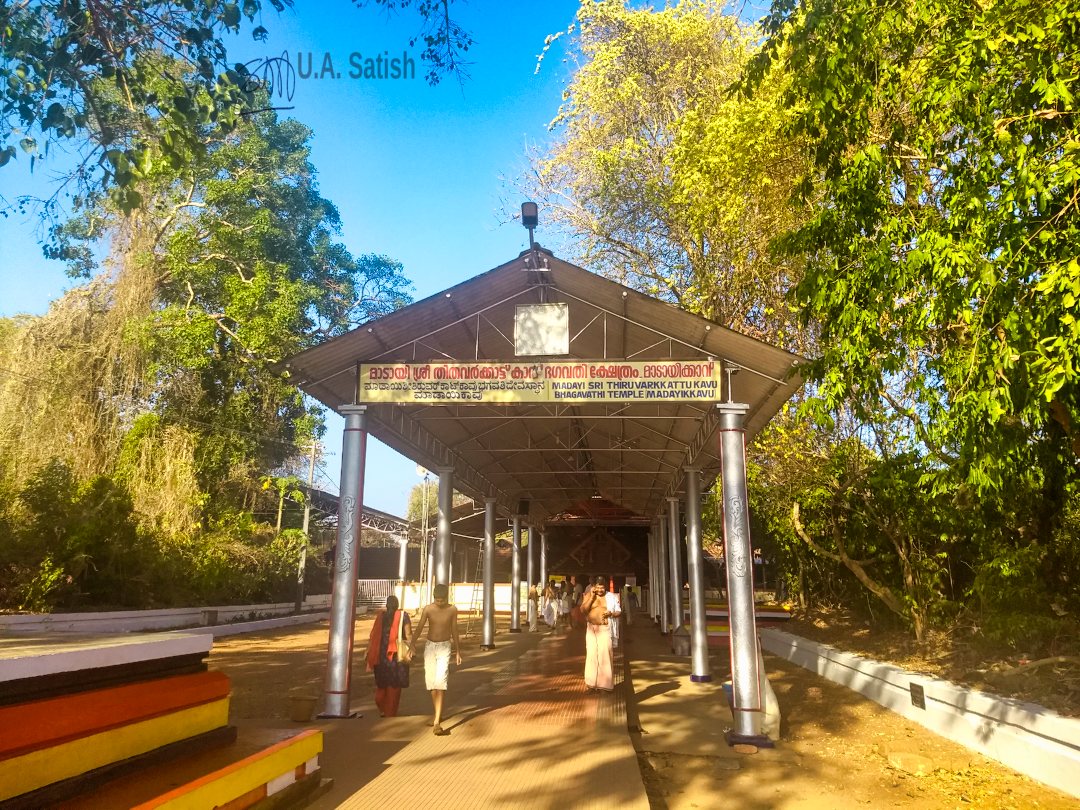 Madayi Kavu; Thiruvarkadu Bhagavathi Temple; Pazhayangadi; Kerala; uasatish; TEMPLE;