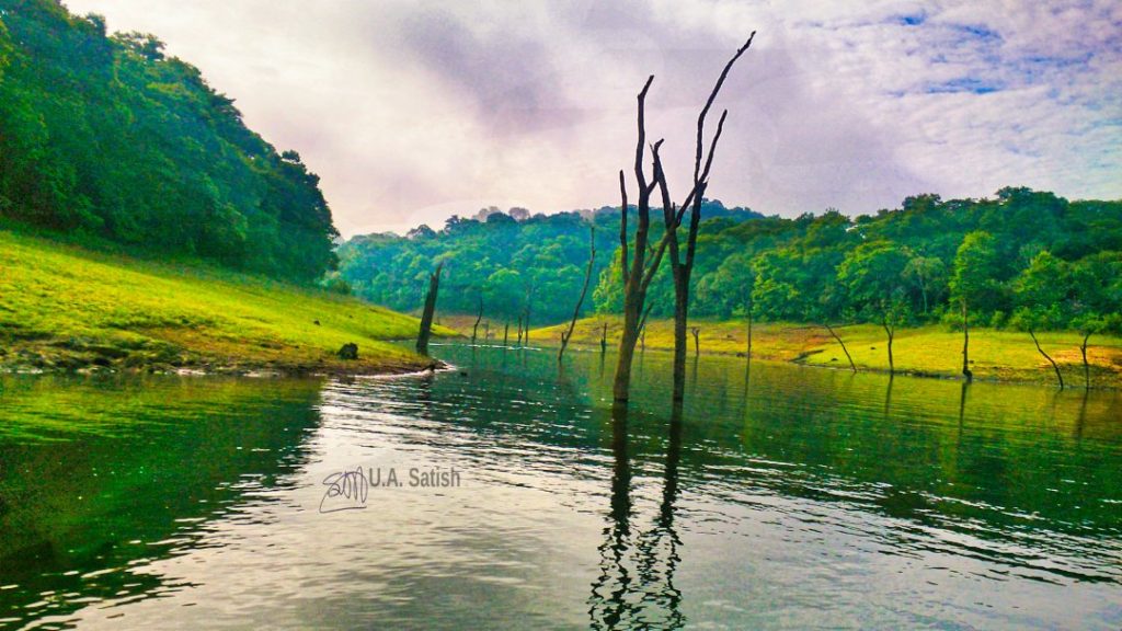 Periyar Lake; Kerala; Kerala God's Own Country; uasatish;