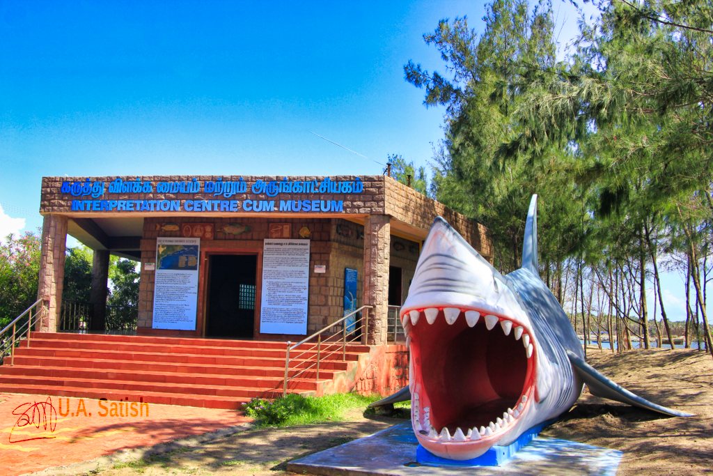 shark sculpture; Rameswaram; Tamil Nadu; uasatish; Vivekanada Memorial;