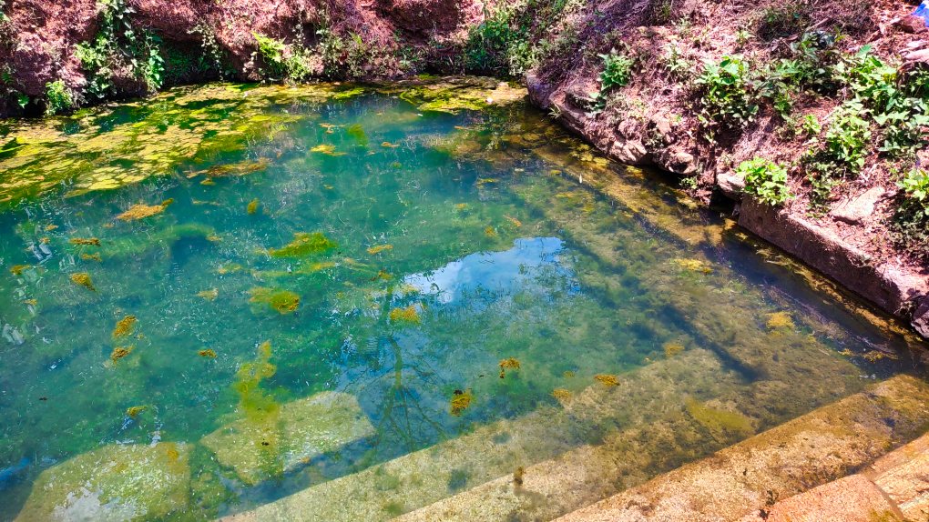 Temple Pond; uasatish; Kerala; Wayanad;